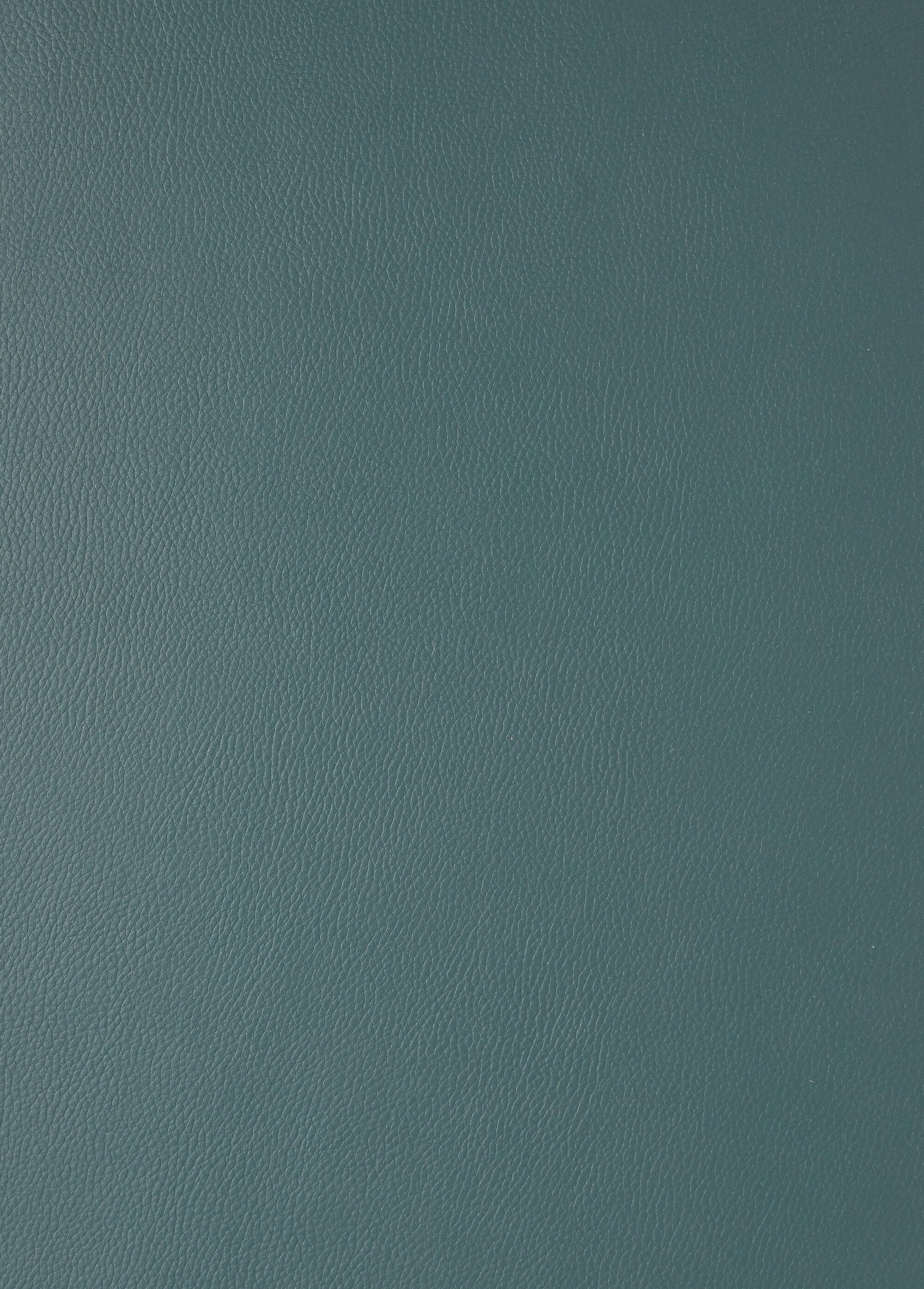 Coupon_de_simili_cuir_uni_Sapin_DE1_slim