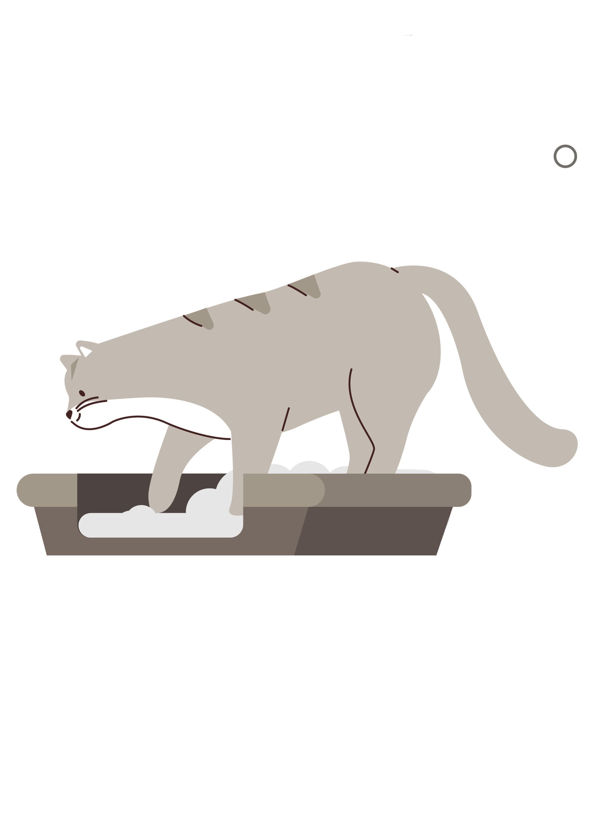 Bac_à_litière_pour_chat_Beige__DE1_slim