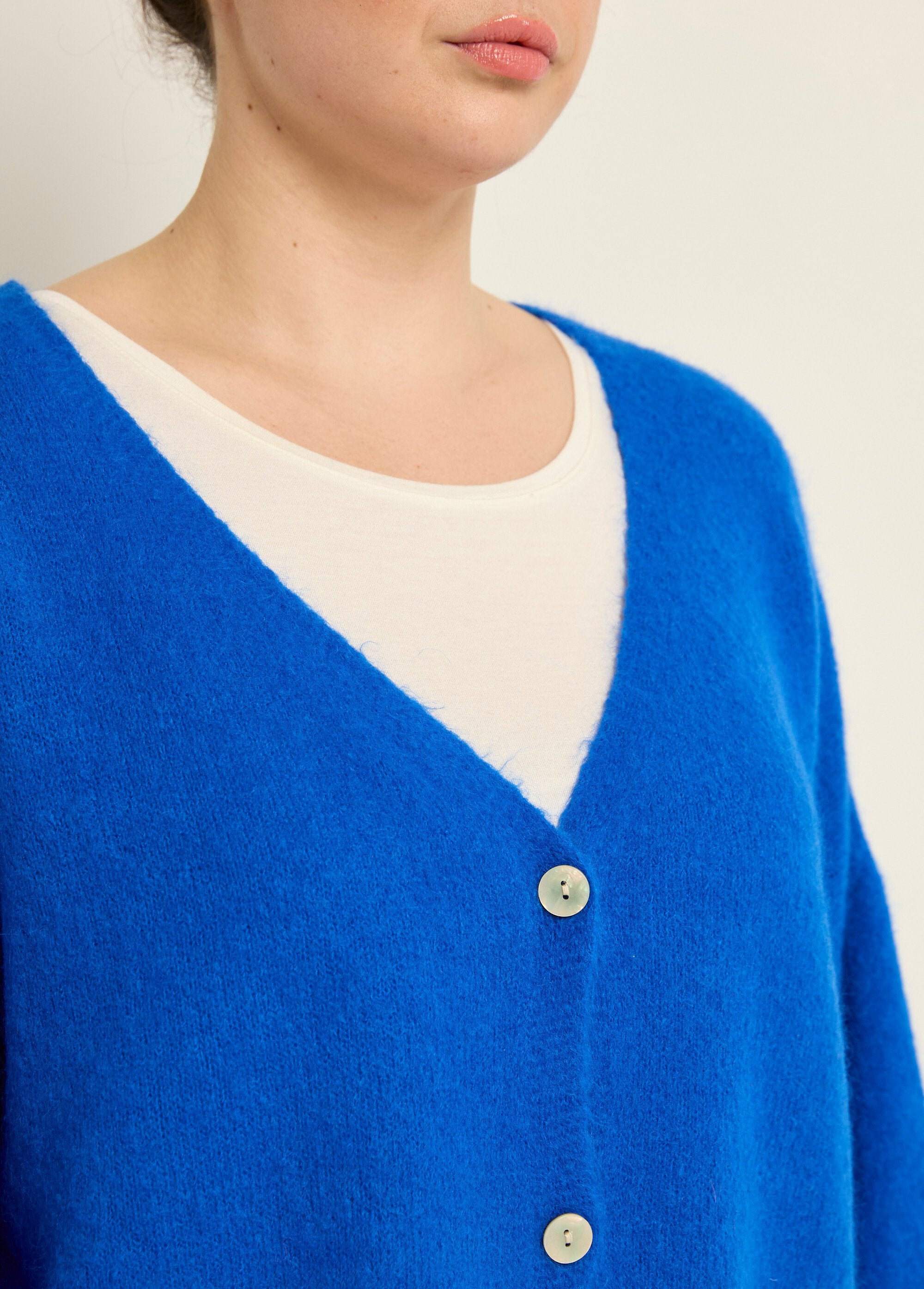 Gebreid_vest_met_alpaca,_V-hals_Bleu_dur_DE1_curvy