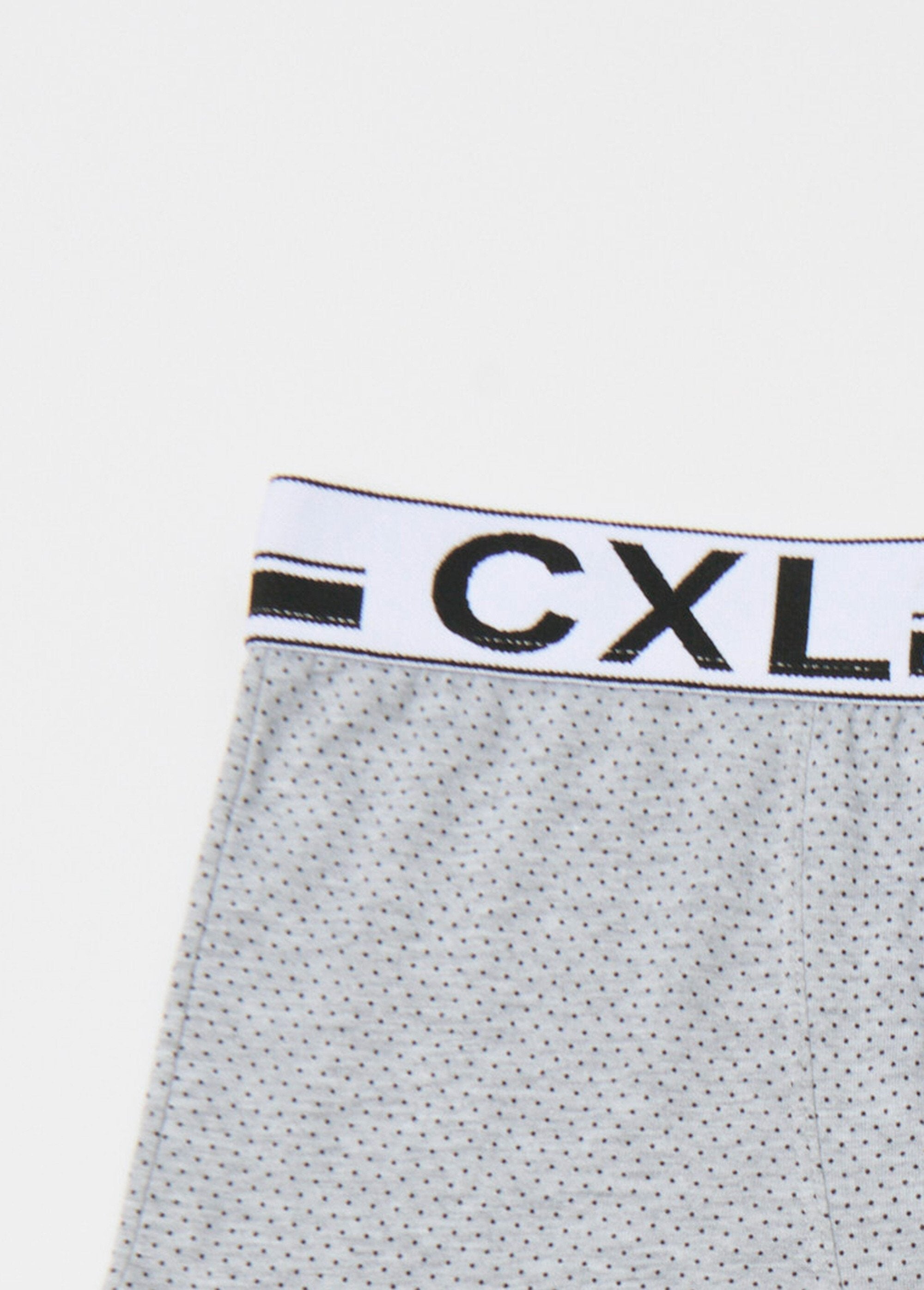 Logo_print_boxer_shorts_Gray_DE1_slim