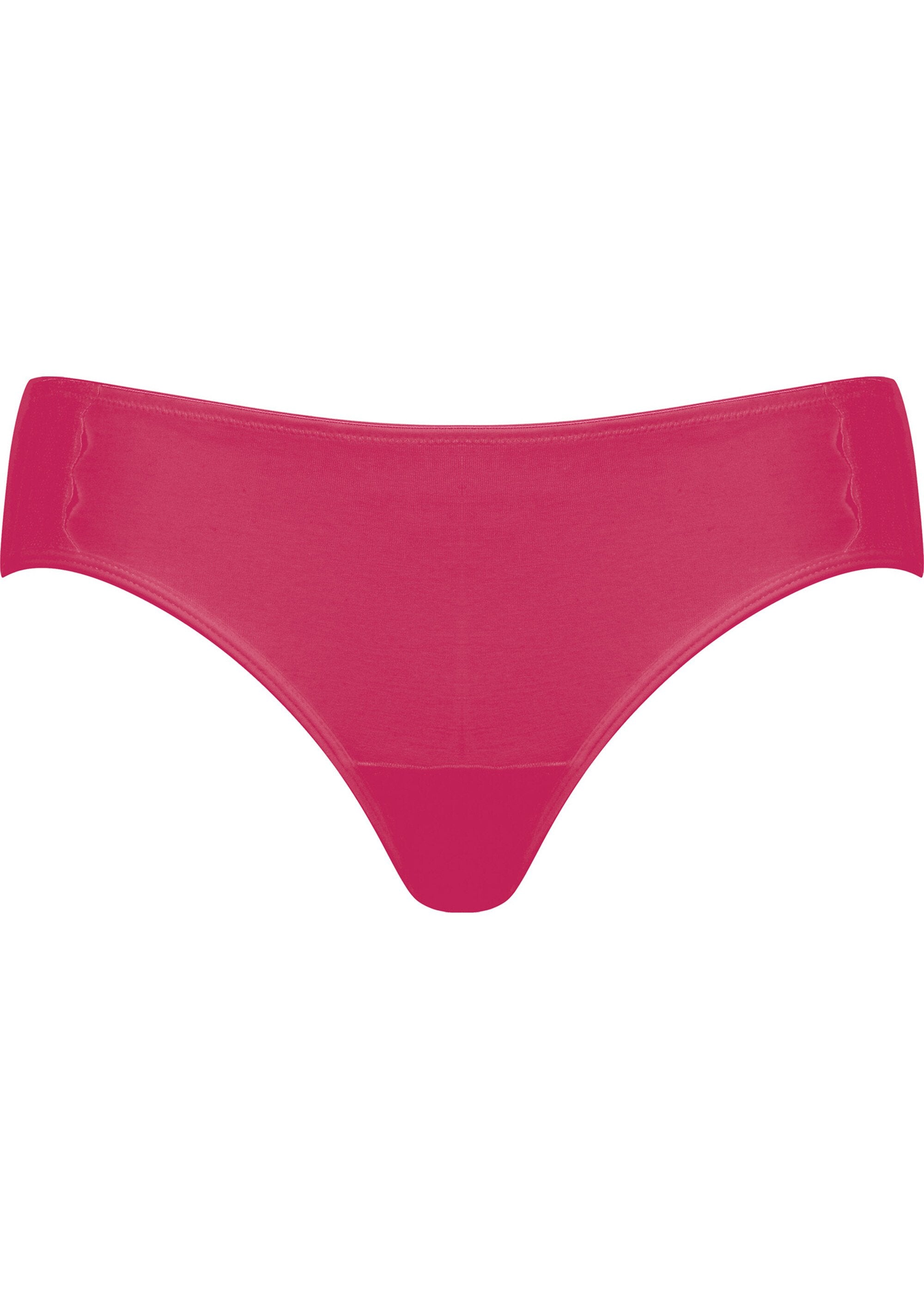 Culotte_menstruelle_anti_fuites_Framboise_AP1_slim