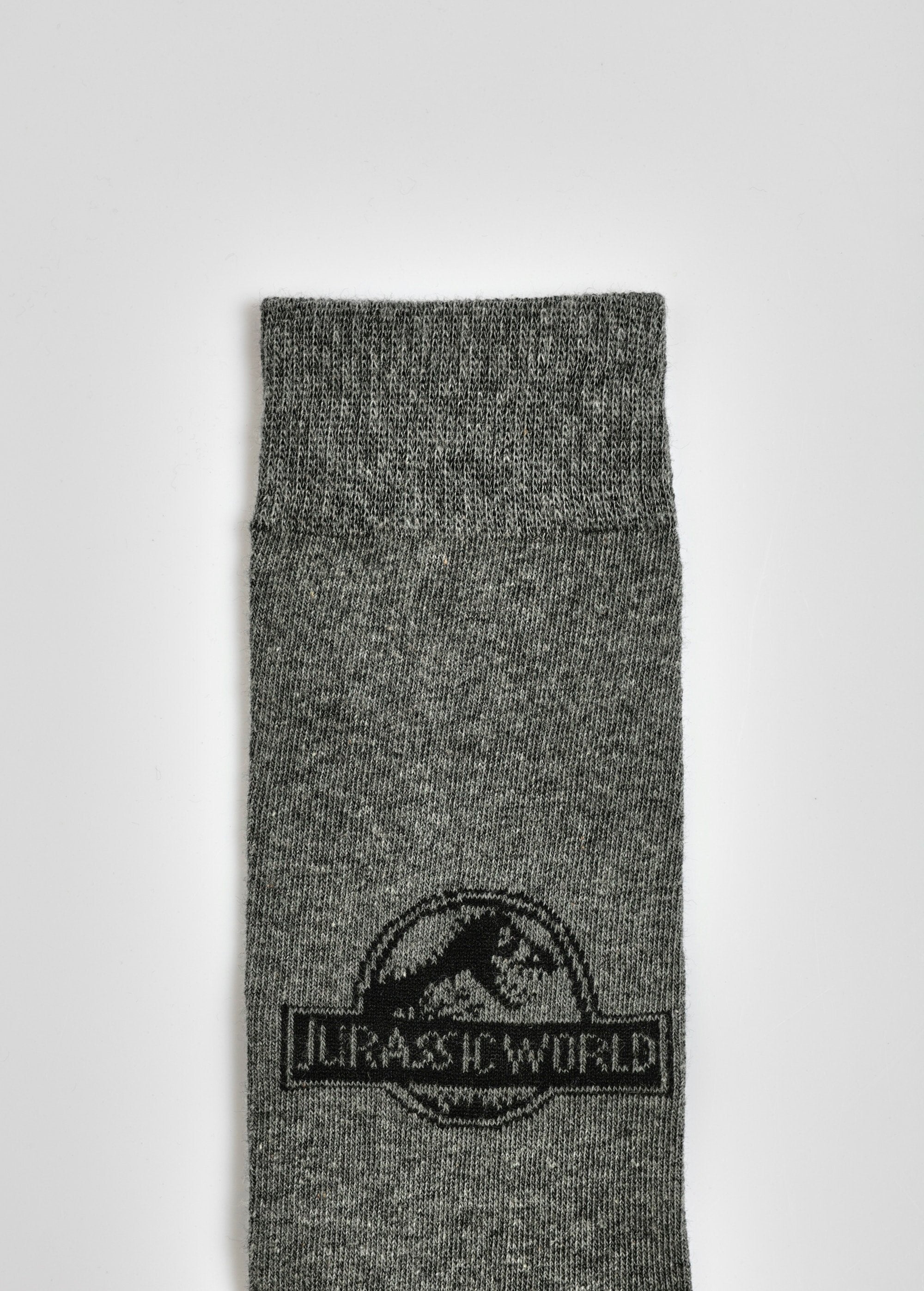 Paire_de_chaussettes,_Jurassic_World_Gris_fonce_DE2_slim