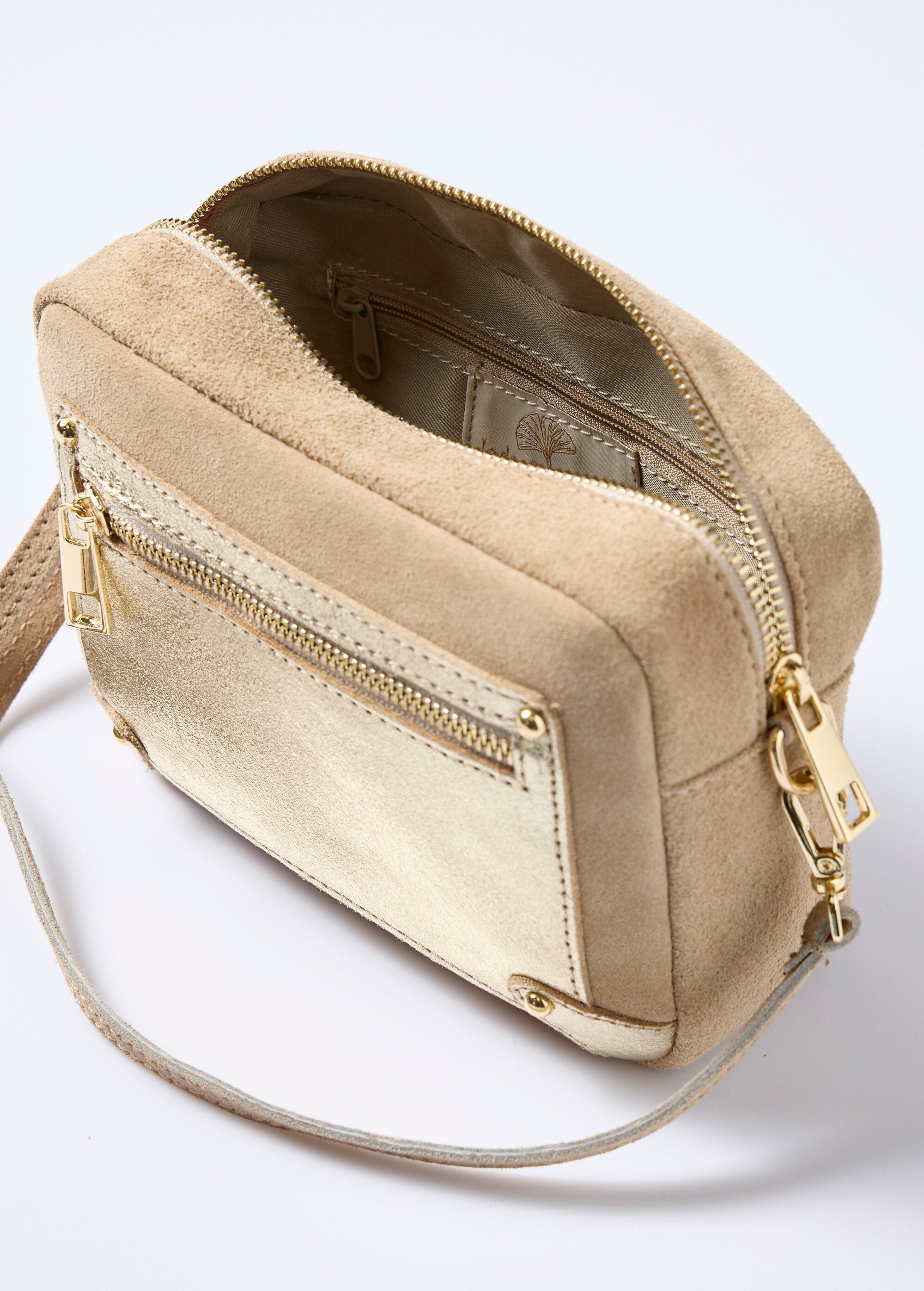 Rechthoekige_tas_van_nubuck_en_metallic_leer_Beige_et_dore_DE1_slim