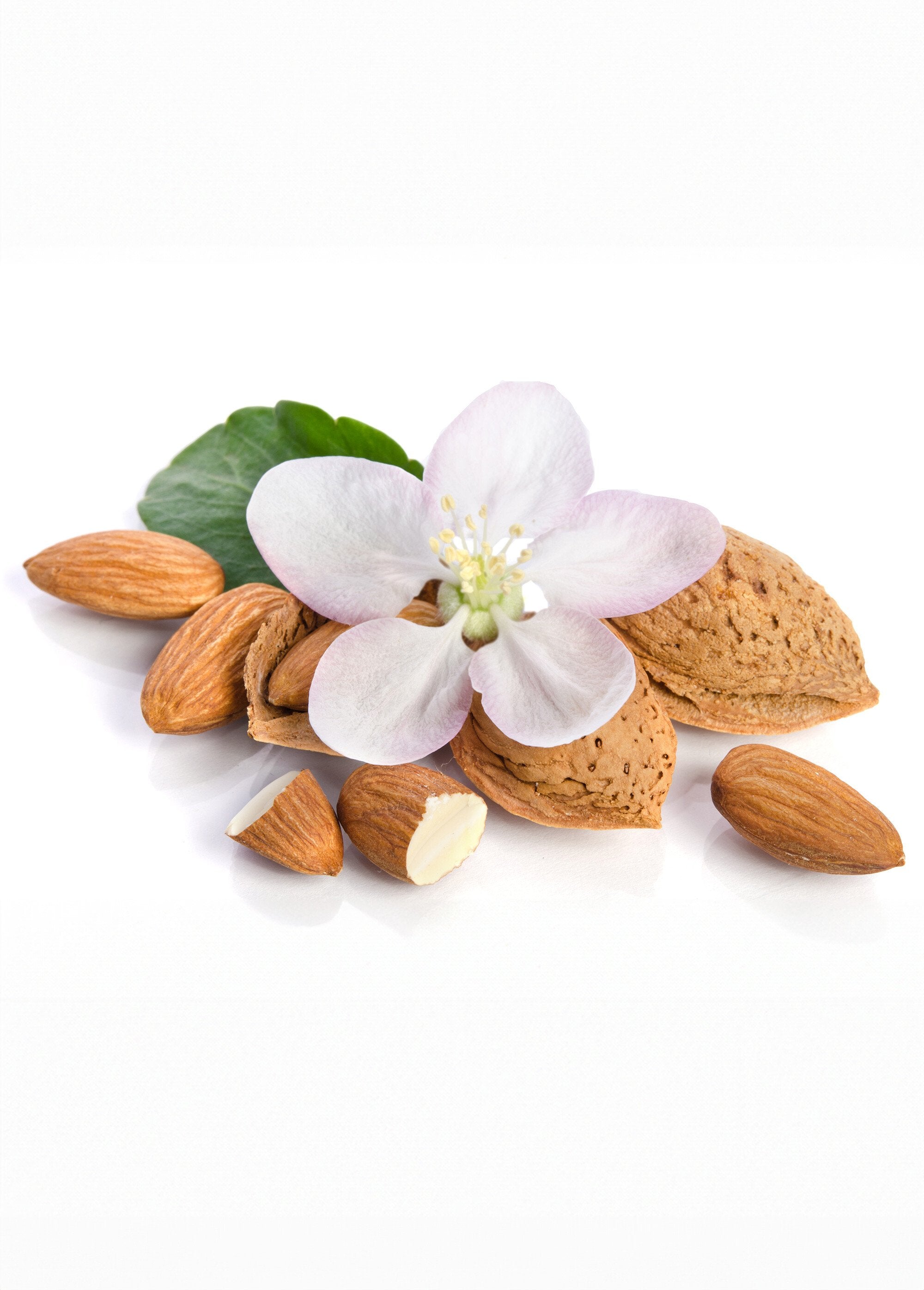 Bougie_crépitante_à_l'Amande_douce_Blanc_DE1_slim