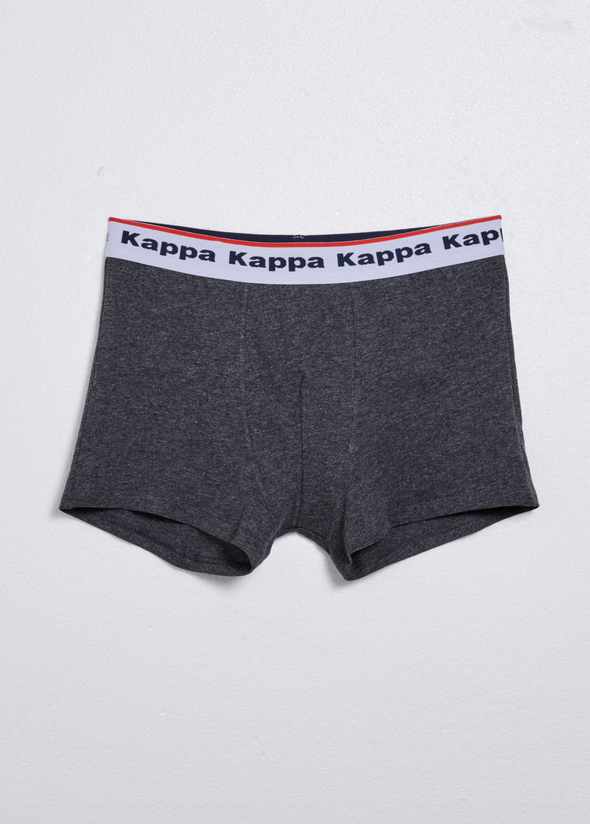 Assortiment_katoenen_boxershorts_voor_heren_Assortis_bleu_DE2_slim