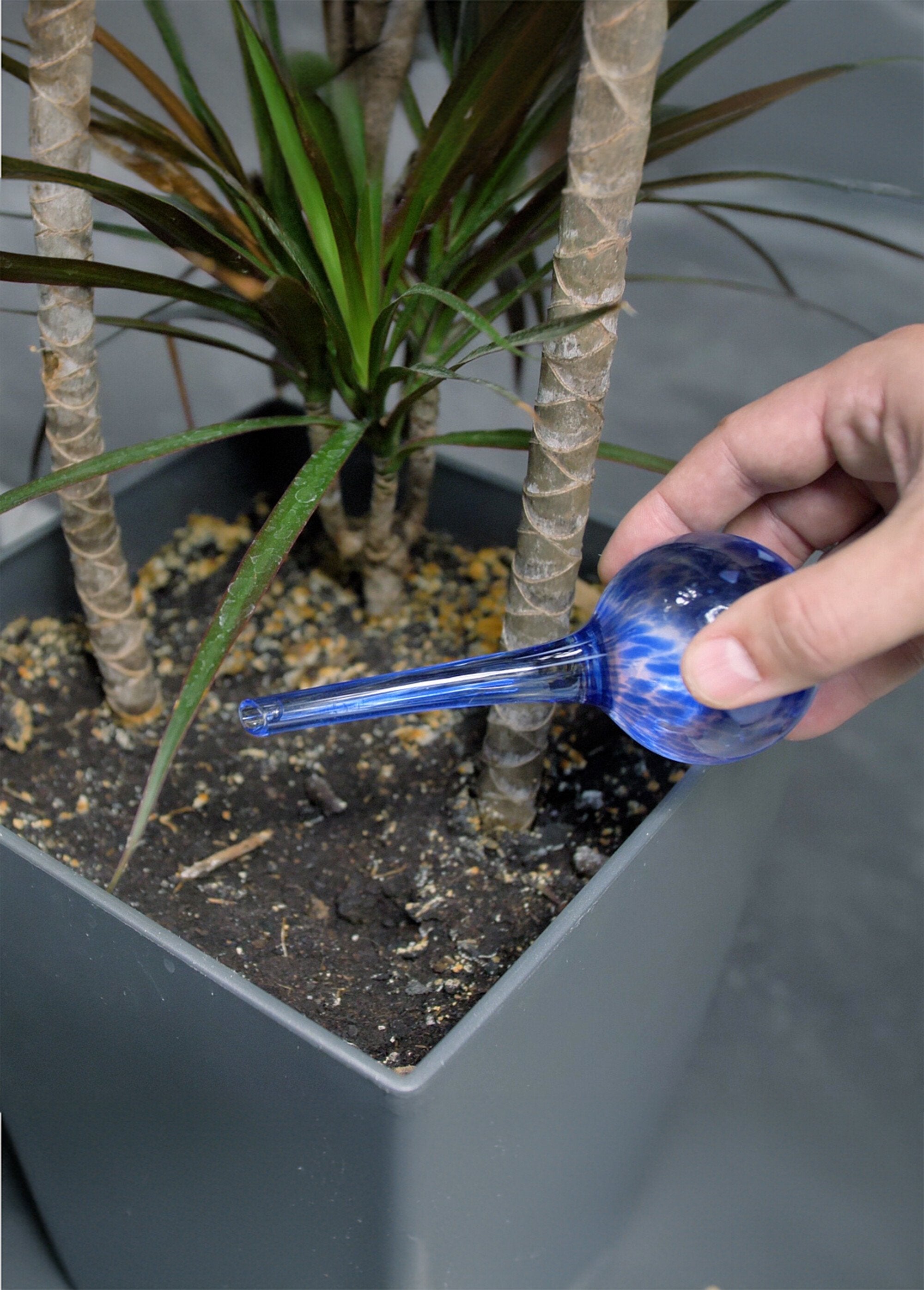 Lot_de_2_boules_arrose_plantes_en_verre_Bleu_DE2_slim