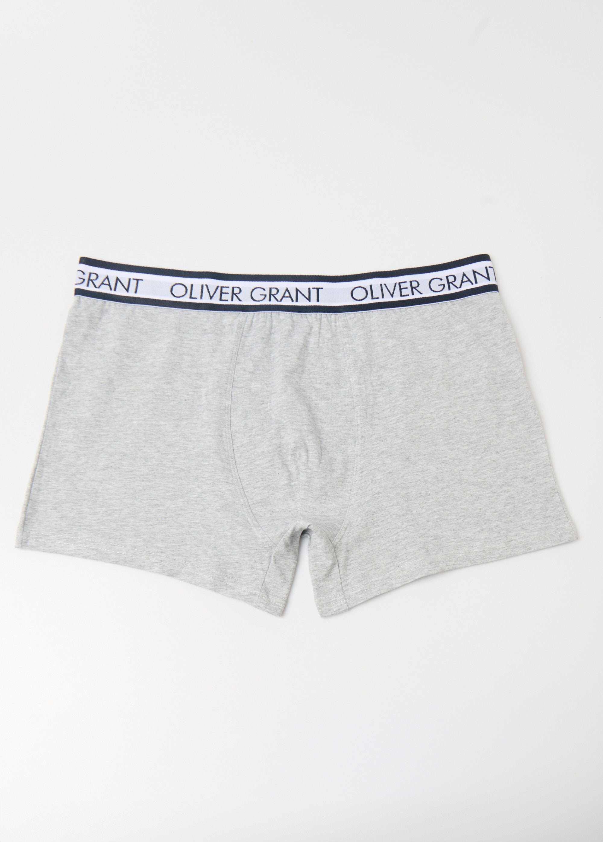 Effen_boxershort_met_tailleband_met_logo_Gris_FA1_slim
