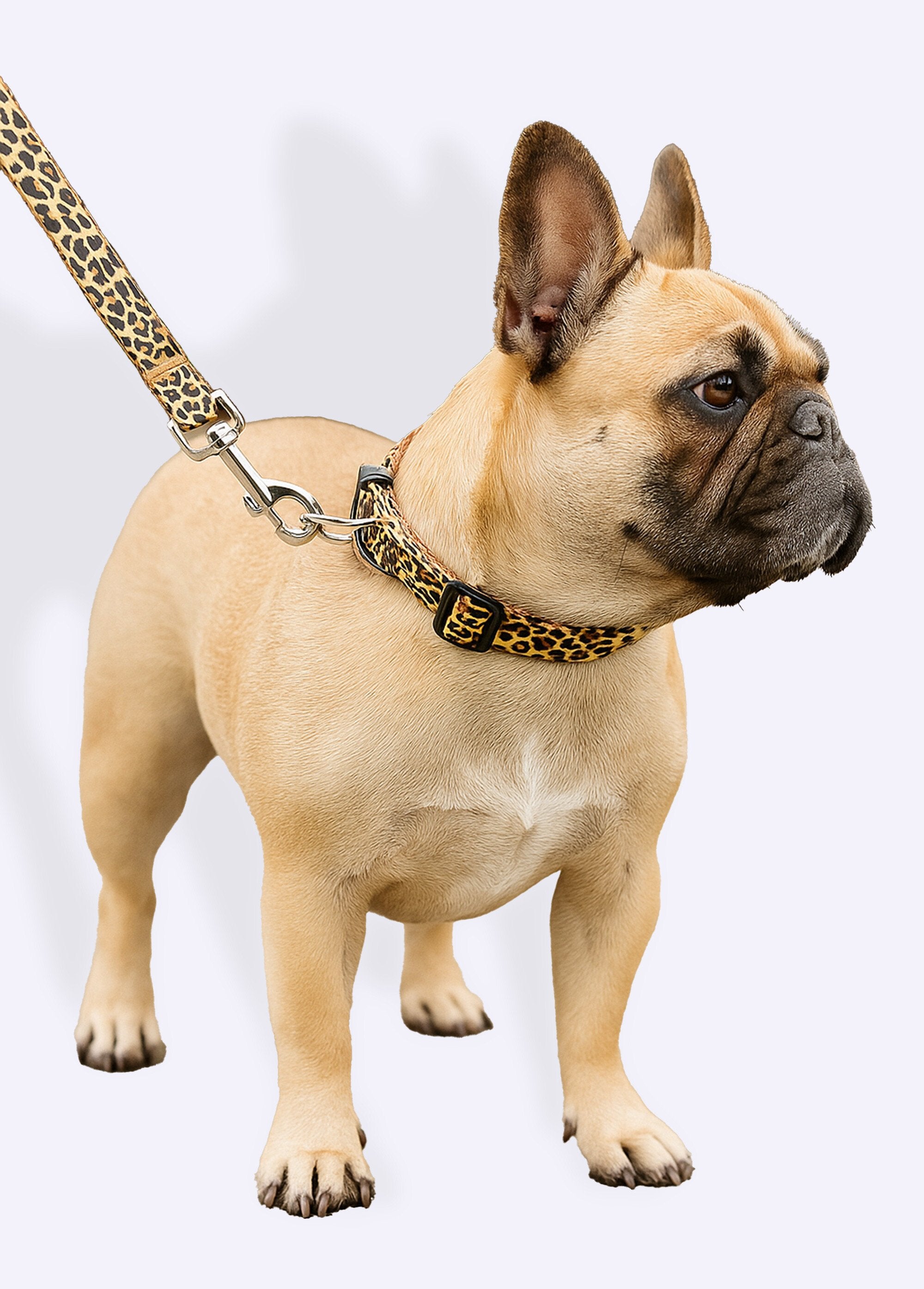 Collier_pour_chien_+_laisse_léopard_Jaune_FA1_slim