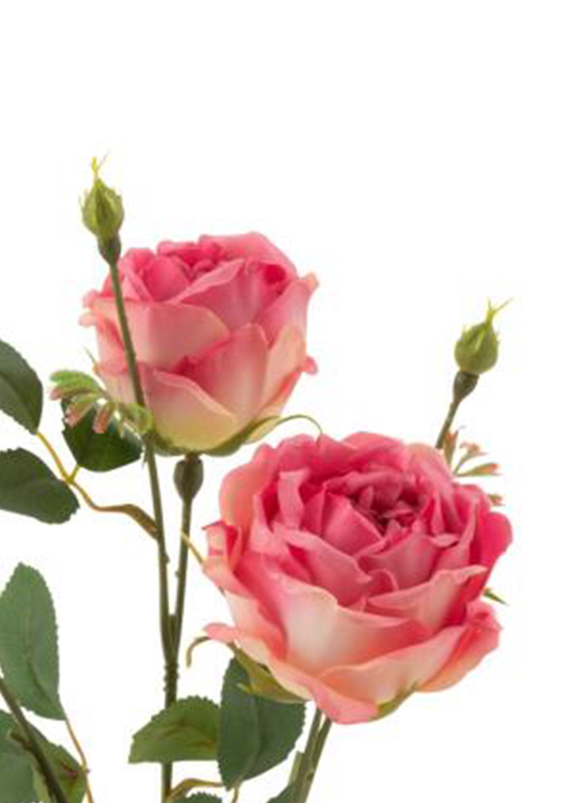 Roses_en_tissu_avec_tige_et_feuilles_Rose_DE1_slim