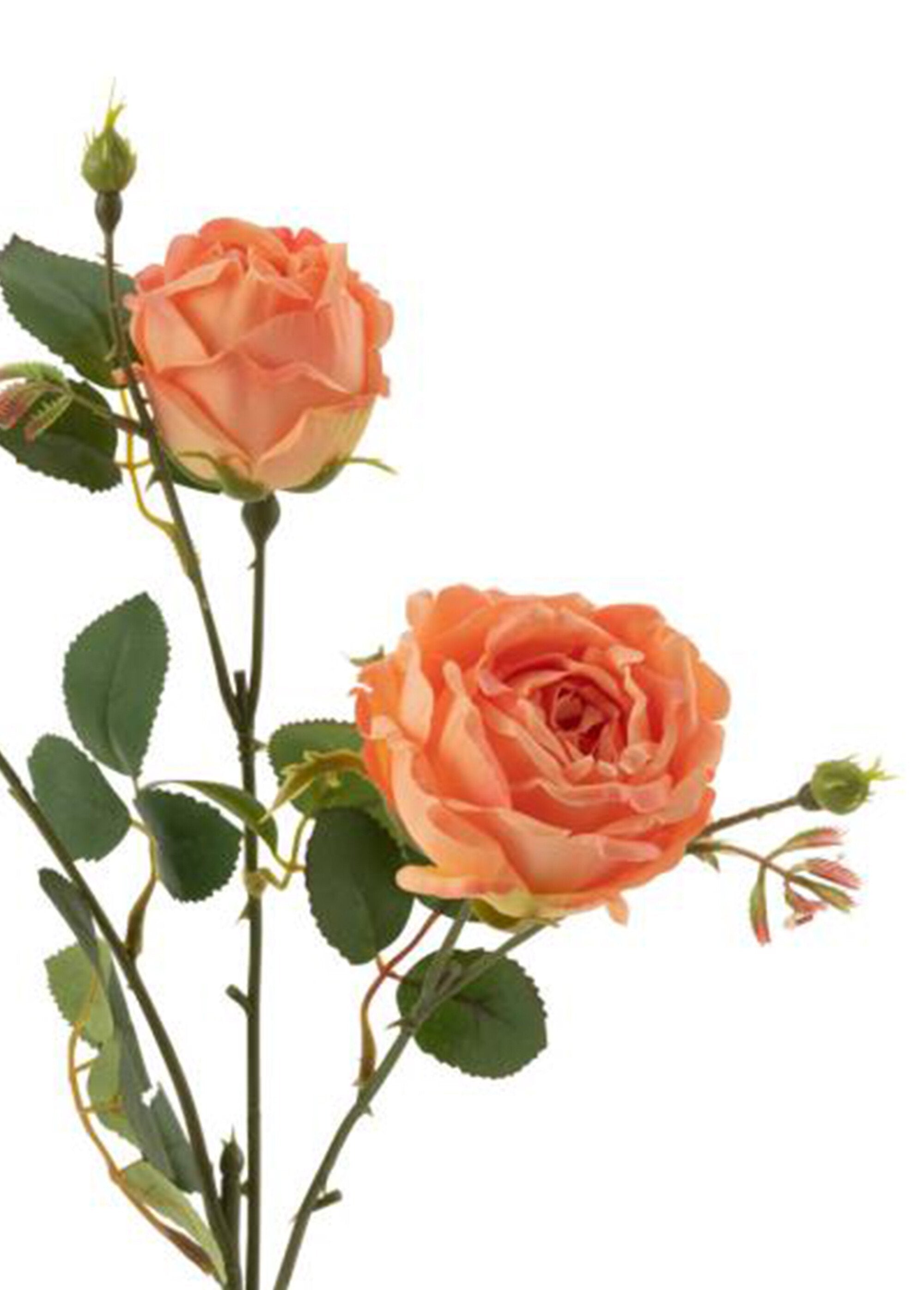 Rosas_de_tecido_com_caule_e_folhas_Orange_DE1_slim