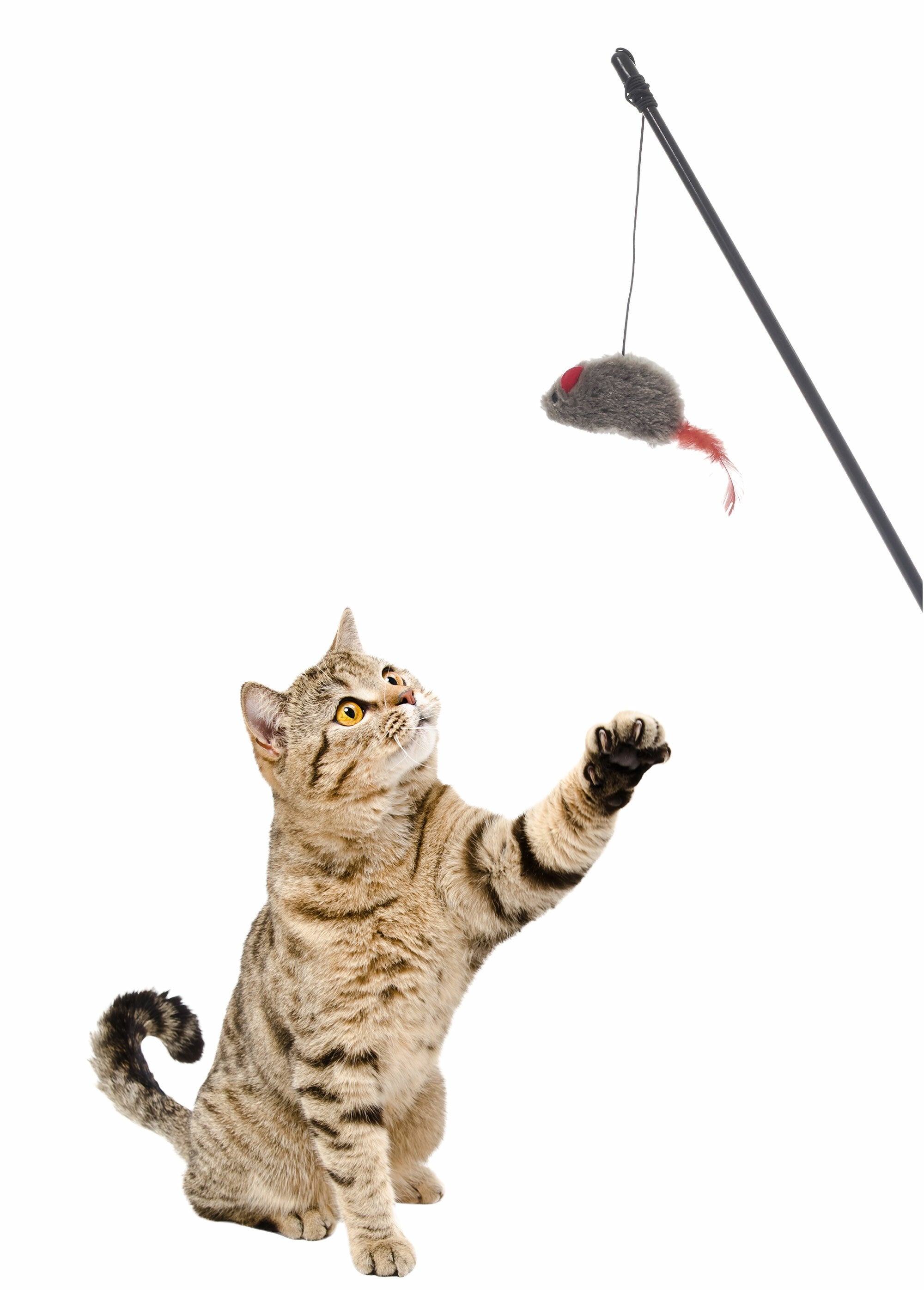 Jouet_pour_chat_canne_souris_peluche_Gris_DE2_slim