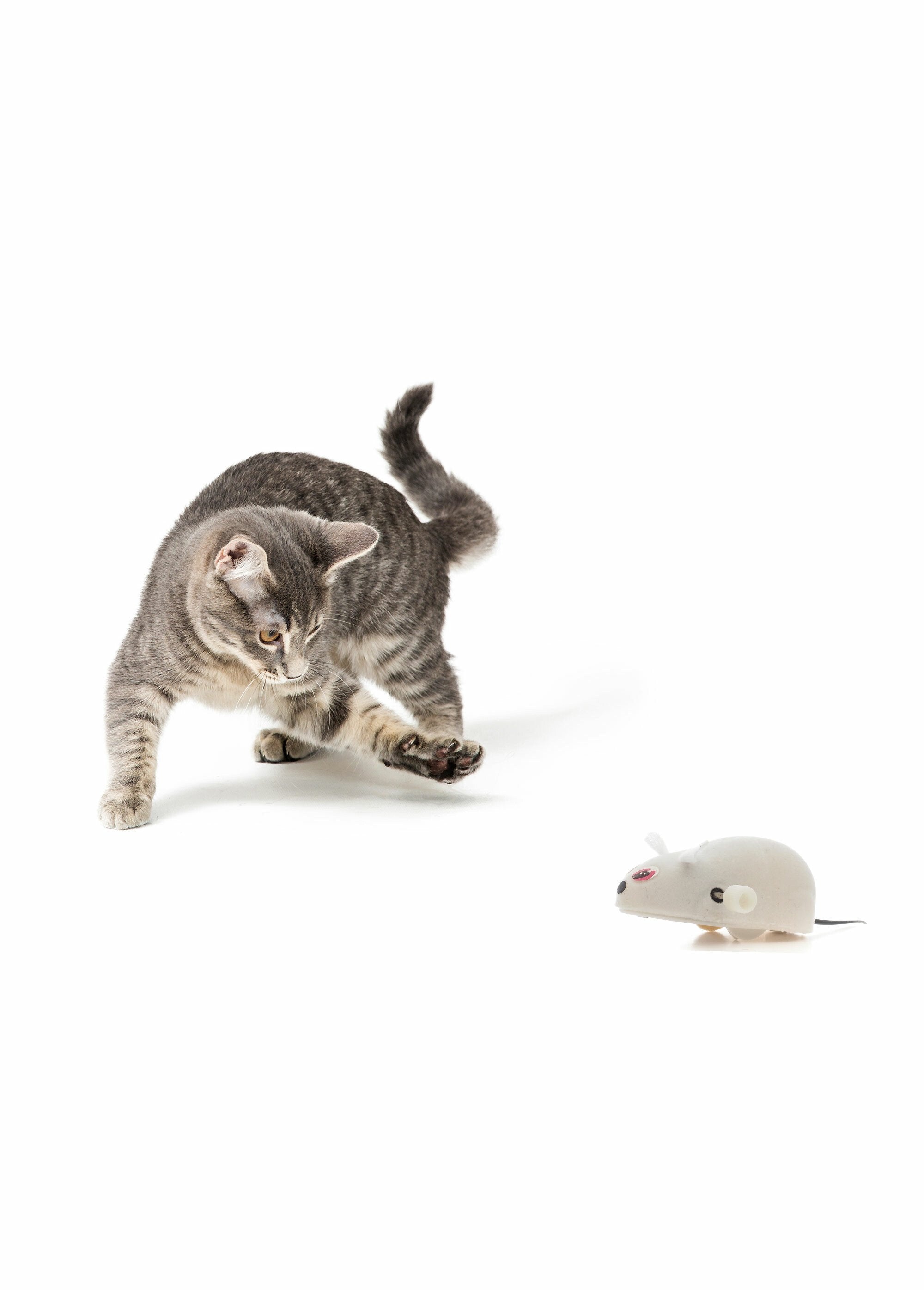 Jouet_pour_chat_souris_à_friction_Blanc_DE1_slim