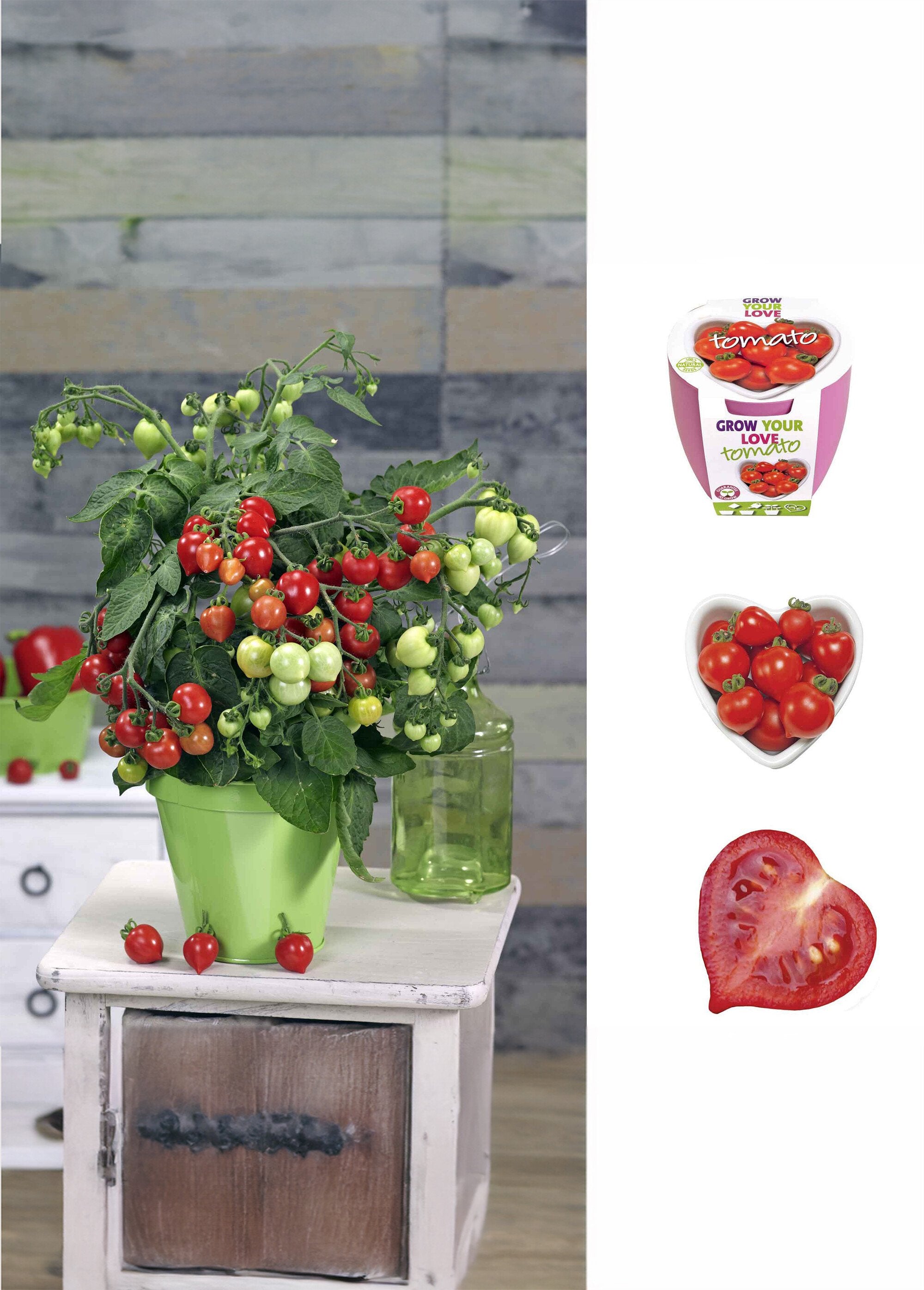 Kit_de_culture_tomates-cerises_coeur_Rouge_FA2_slim