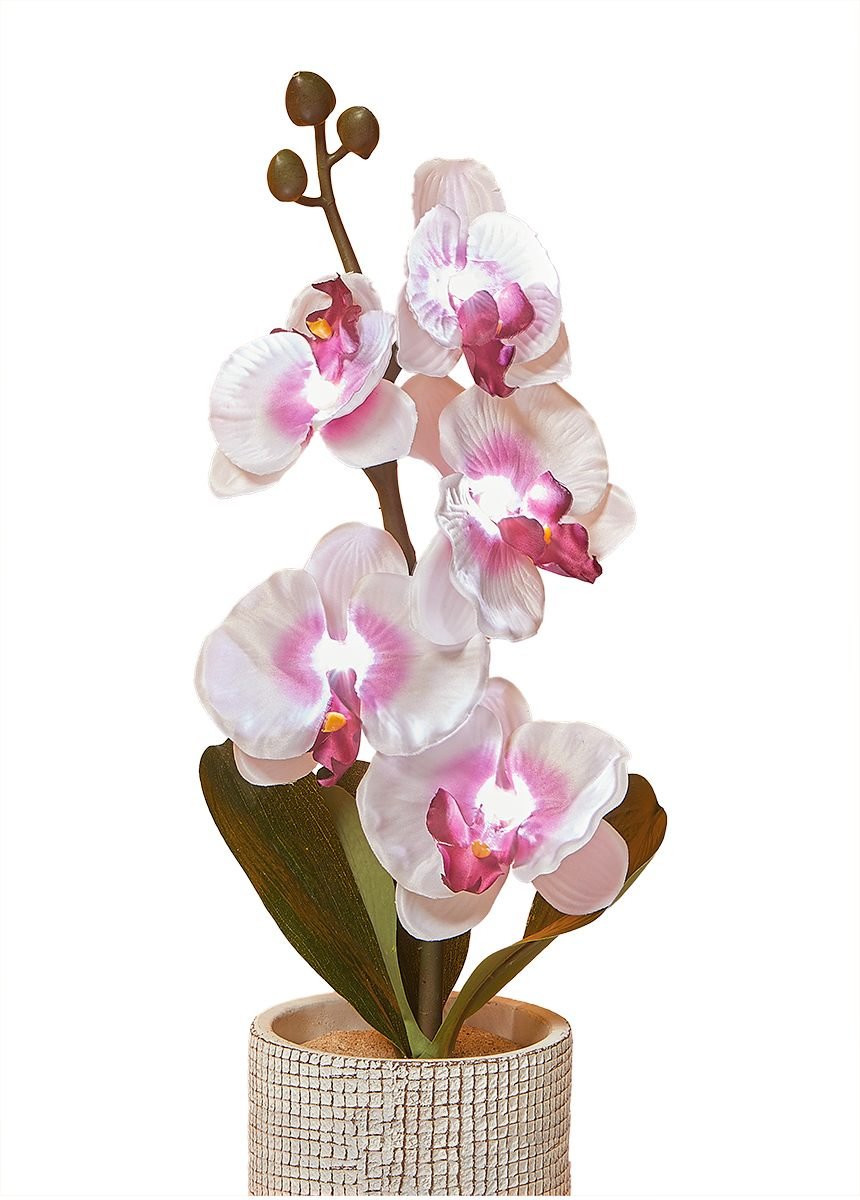 Branche_d'orchidée_lumineuse_5_fleurs_Branche_lumineuse_FA1_slim