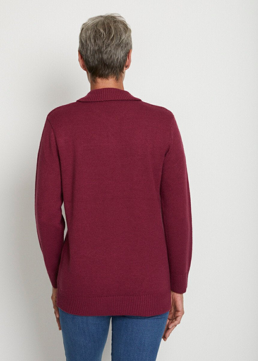 Pull_col_polo_maille_épaisse_Prune_DO1_slim