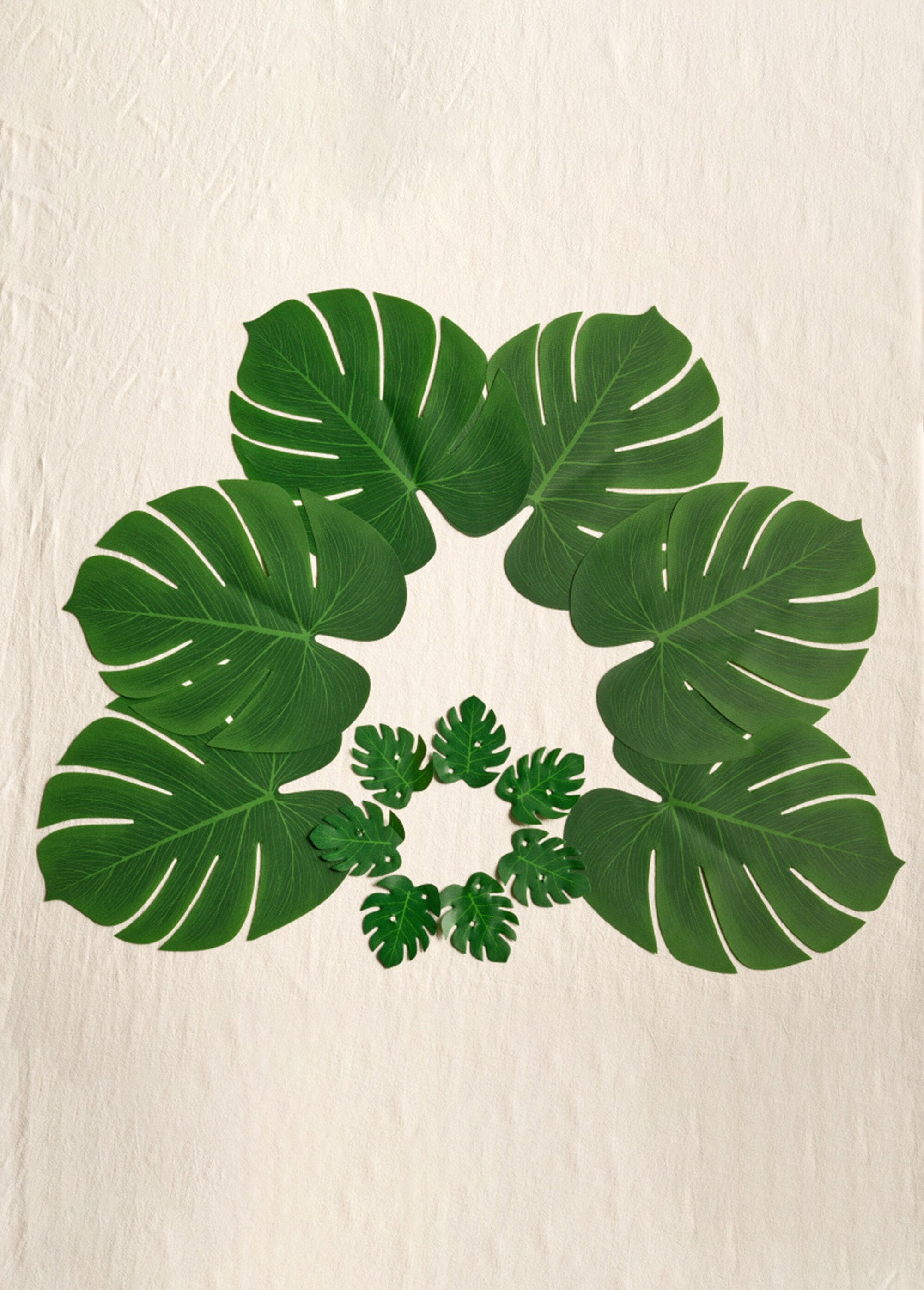Lot_de_12_feuilles_tropicales_décoratives_Vert_lot12_FA1_slim