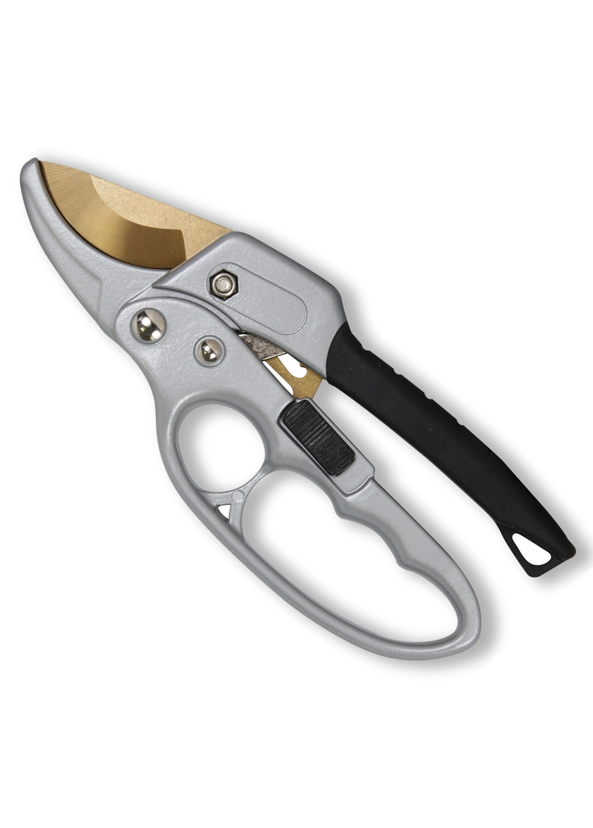 Rack_and_pinion_shears_in_titanium_Gray_FA1_slim